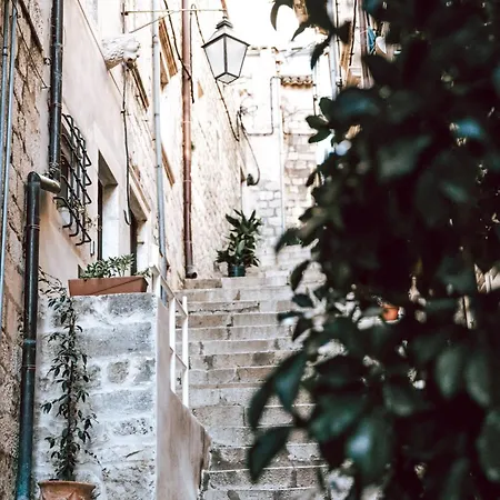 Mascheroni Luxury Ii